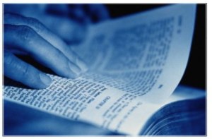 Brady-Bunch-Bible-blue1